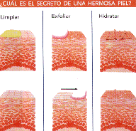 Lo que necesitas para una piel bonita